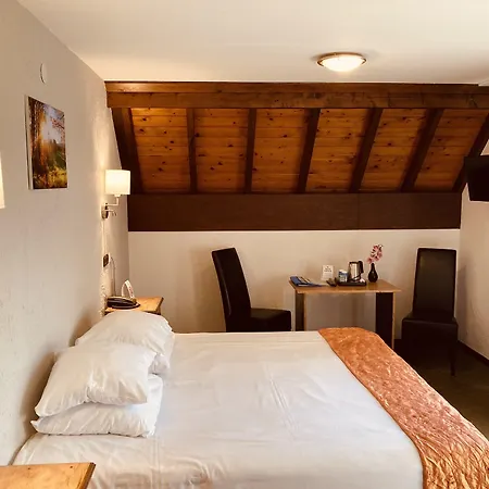 Fletcher Hotel-restaurant De Witte Brug 4*