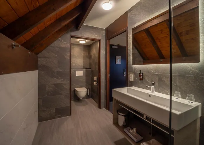 Fletcher Hotel-restaurant De Witte Brug Hotel 4*