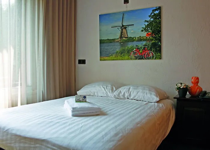 Fletcher Hotel-restaurant De Witte Brug 4* Lekkerkerk