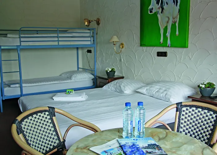 Fletcher Hotel-restaurant De Witte Brug Hotel 4*