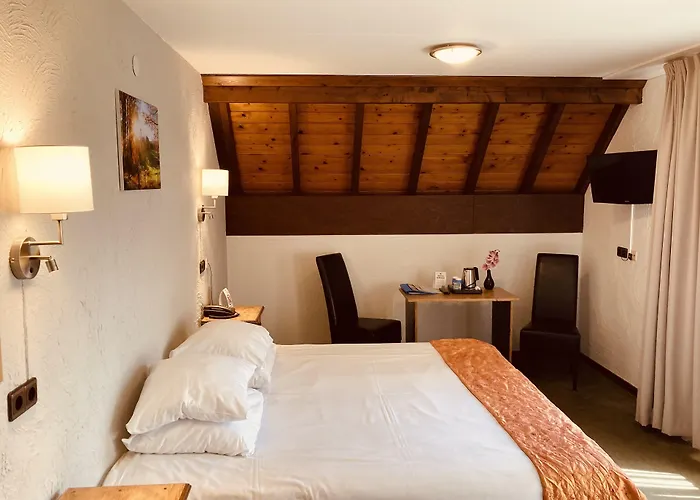 Fletcher Hotel-restaurant De Witte Brug 4*